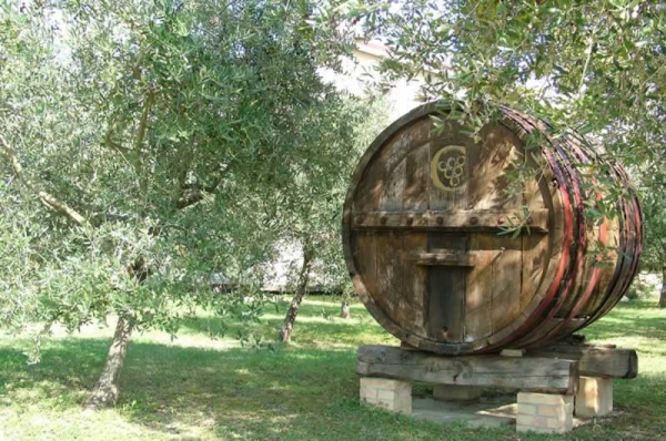 Farm Ceci Enrico