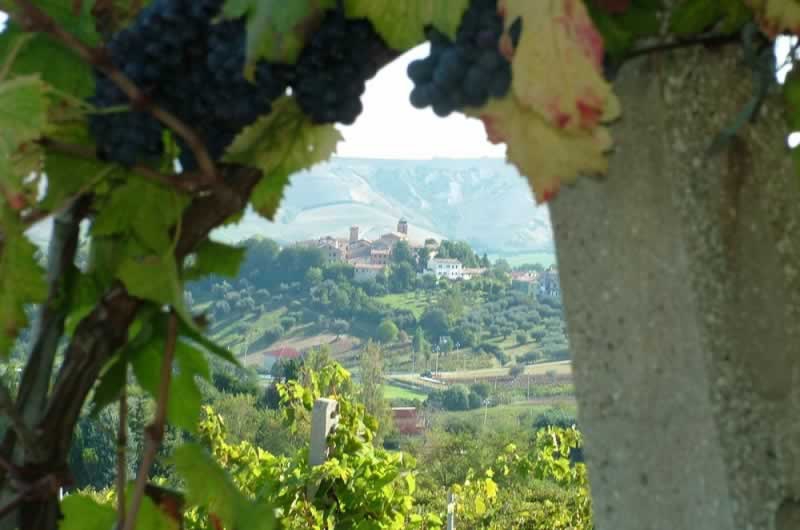 Territorio